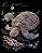     Royal & Langnickel -   -   - 