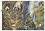   ITD Collection -  - A3 - 