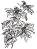 ����� �� �������� � 3D ����� Sizzix Mini Poinsettia - �� ������ �� ��������� � ����� - 