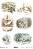   ITD Collection -   - A4 - 