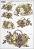 ��������� ������ ITD Collection - ��������� � ���� - A4 - 