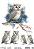 ���������� ��������� CADENCE - ����� - 25 x 35 cm �� ������� Birdsong - 