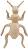    Decopatch - 9.5 / 16.5 / 3 cm - 