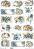 ��������� ������ ITD Collection - ���� ����� - A3 - 