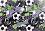    Cool Pack -   A4   Football - 