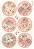   Stamperia - A4   Shabby Rose - 