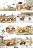   ITD Collection -    - A4 - 