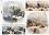   ITD Collection -  - A3 - 