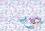    4 Reinbow  - 10  - 
