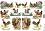��������� ������ ITD Collection - ����������� ������ - A4 - 