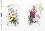��������� ������ ITD Collection - ����� � �������� - A4 - 