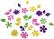    Apli Kids -  - 48  - 