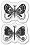   KPC -  - 5 x 6 cm - 