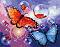    Foska -  - 50 x 40 cm - 