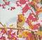   Grafix -  - 20 x 20 cm - 