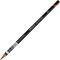   Derwent Graphic - 