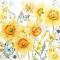    Ambiente -  - 20  - 