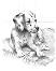    Royal & Langnickel -  - 23 x 30 cm    - 