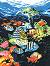    Royal & Langnickel -   - 23 x 30 cm - 