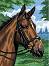   Royal & Langnickel -  - 23 x 30 cm - 