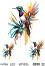 ���������� ��������� CADENCE - ������� - 25 x 35 cm �� ������� Birdsong - 