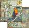 Хартия за скрапбукинг Stamperia - Тукан - 30.5 x 30.5 cm от колекцията Amazonia - 