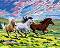    Newart -  - 50 x 40 cm - 
