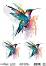 ���������� ��������� CADENCE - ������� - 25 x 35 cm �� ������� Birdsong - 