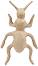    Decopatch - 9.5 / 16.5 / 3 cm - 