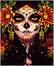    Foska -  - 40 x 50 cm - 