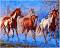    Foska -  - 50 x 40 cm - 