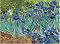    Foska -  - 50 x 40 cm - 