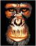    Foska -  - 40 x 50 cm - 