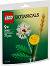 LEGO Icons Botanical - ������ ����� - ������ ����������� - �������