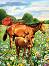    Royal & Langnickel -  - 22 x 30 cm - 