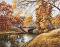   Ideyka -   - 50 x 40 cm - 