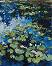    Ideyka -     - 40 x 50 cm - 