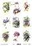    ITD Collection -  - A4 - 