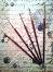     NEWART  - 
