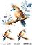 ���������� ��������� �� ������� CADENCE - ����� - 25 x 35 cm �� ������� Birdsong - 