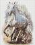   Ideyka -   - 40 x 50 cm - 