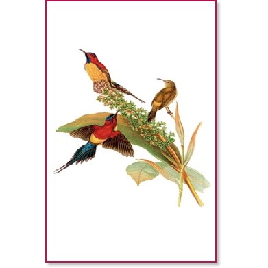 ���������� ������ CADENCE - ������� - 12 x 17 cm �� ������� Planet - 