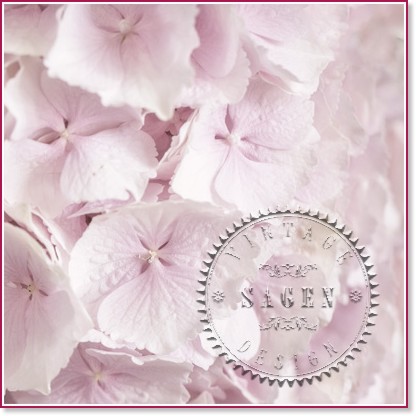    Sagen Vintage -   - 20  - 