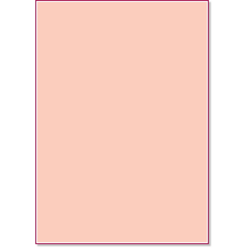   Clairefontaine -   - 100    Pastel - 