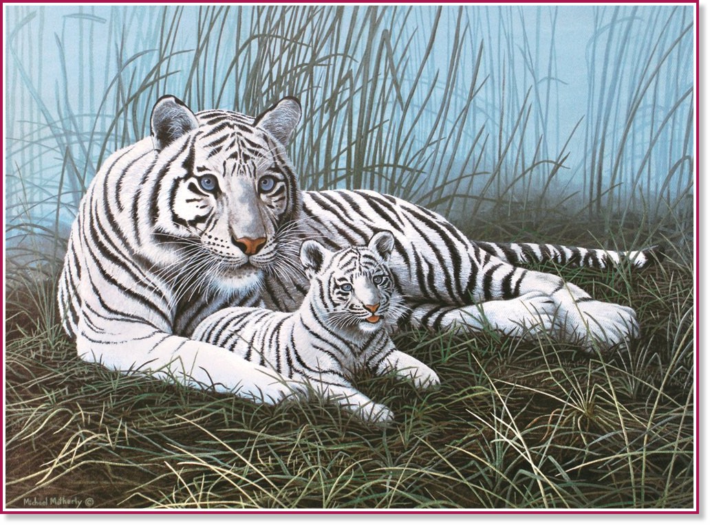 Рисуване по номера Royal & Langnickel - Бели тигри - 39 x 30 cm - 