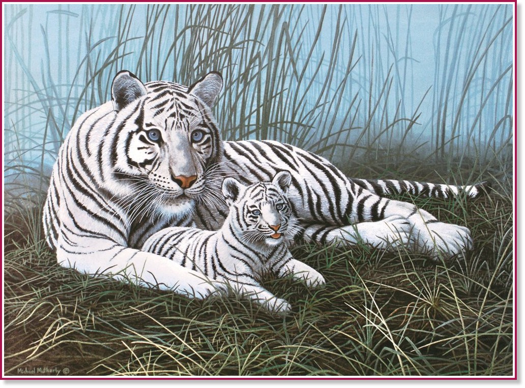 Рисуване по номера Royal & Langnickel - Бели тигри Рисуване по номера Royal & Langnickel - Бели тигри - 39 x 30 cm -