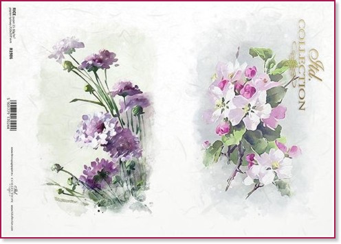   ITD Collection -   - A4 - 