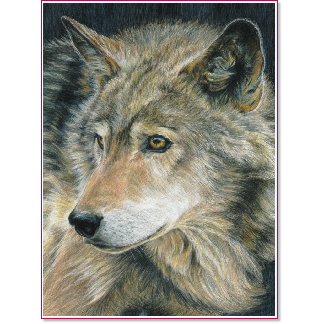 Рисуване по номера Royal & Langnickel - Вълк Рисуване по номера Royal & Langnickel - Вълк - 22 x 30 cm с цветни моливи -