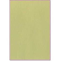      -  110 - 25 , A4, 250 g/m<sup>2</sup> - 