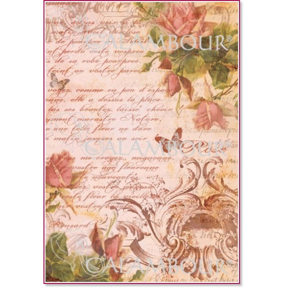   Calambour -    175 -   Digital Collection Mulberry - 